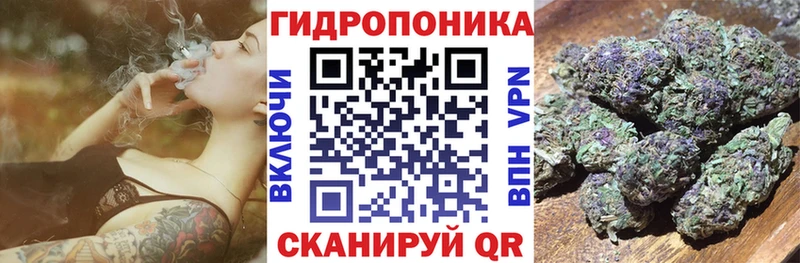Где можно купить наркотики Котельниково ссылка на мегу зеркало  Амфетамин  Каннабис  APVP  КОКАИН 