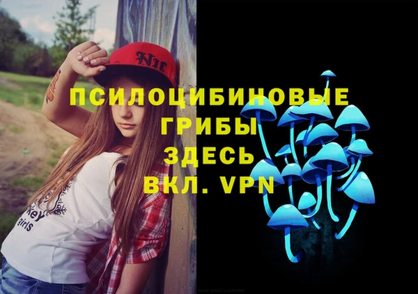 PSILOCYBIN Балахна