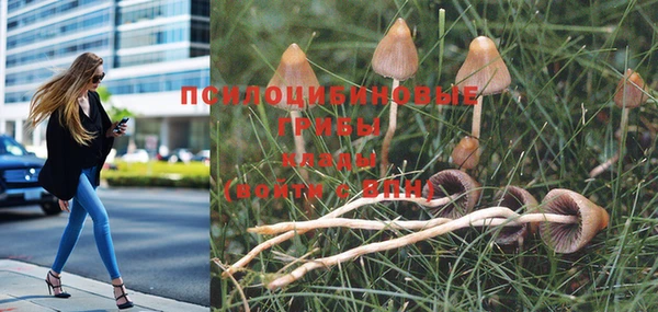 бошки Баксан