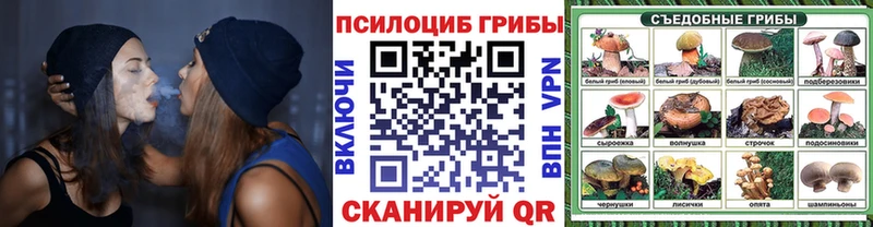 Галлюциногенные грибы ЛСД Котельниково